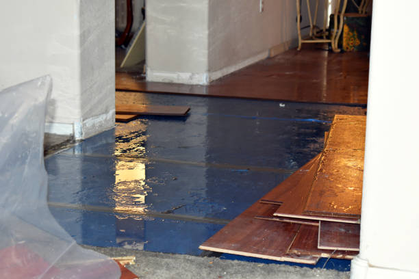 Professional Basement Flood Cleanup technician working in Churdan, IA